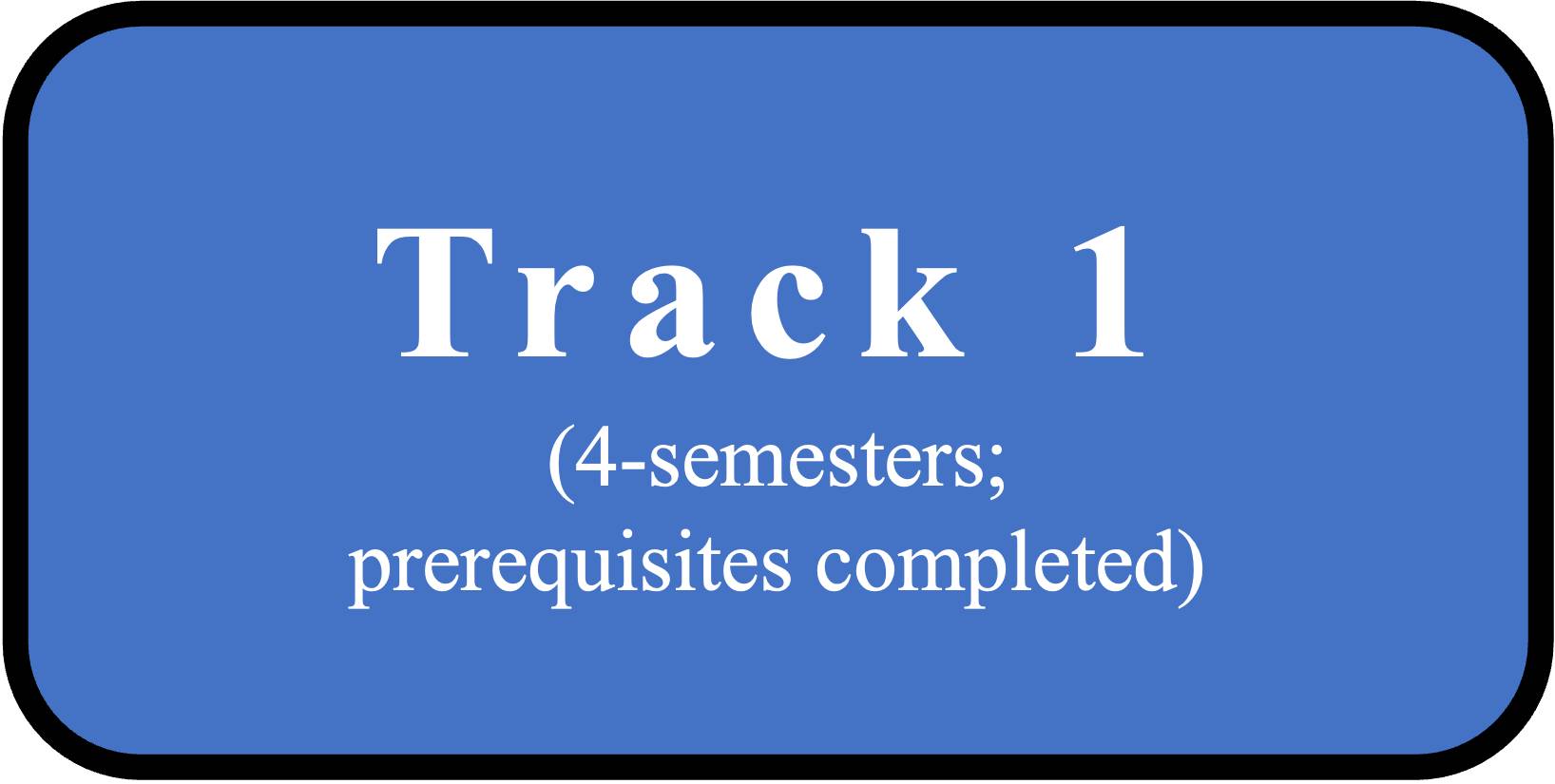 Track 1 - 4-semester program for those with prerequisites completed